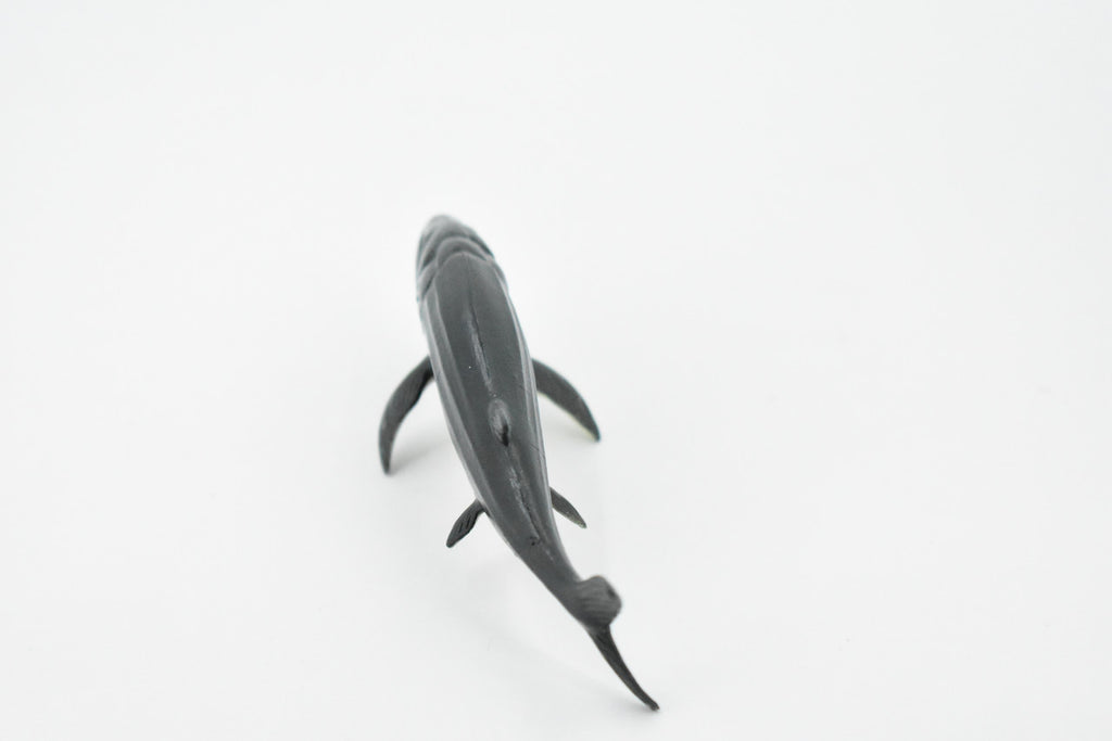 Leedsichthys, Extinct Jurassic Fish, Leeds' fish, Museum Quality, Rubber, Hand Painted, Realistic, Diorama Model, Kids, Educational, Gift,       4 Inches.       CH428 BB109