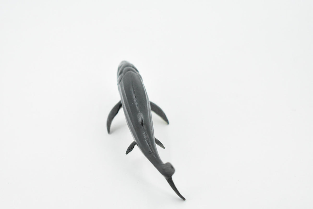 Leedsichthys, Extinct Jurassic Fish, Leeds' fish, Museum Quality, Rubber, Hand Painted, Realistic, Diorama Model, Kids, Educational, Gift,       4 Inches.       CH428 BB109