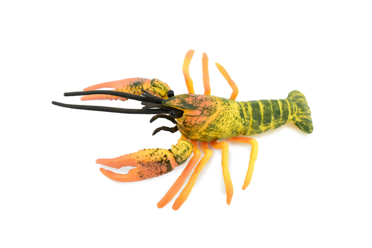 Crawfish, Crayfish, Museum Quality, Hand Painted, Rubber Crustaceans, Educational, Realistic, Lifelike, Educational, Gift,       4 1/2"      CH303 BB129