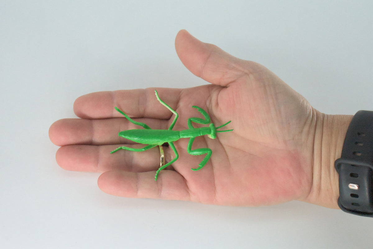 Praying Mantis, Very Nice Rubber Insect, Educational, Realistic Hand Painted, Figure, Lifelike Model, Figurine, Replica, Gift,     3"   US21 B44