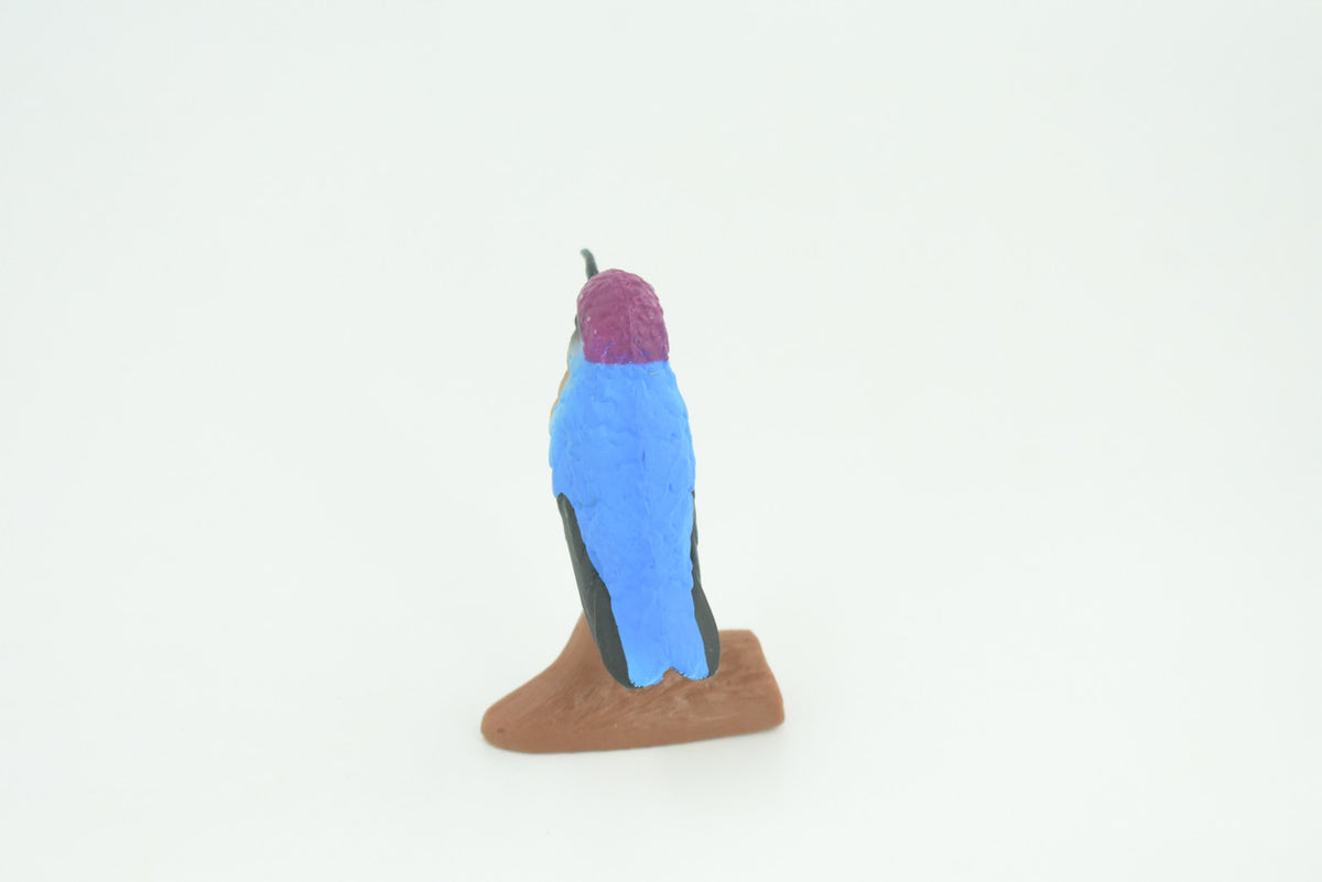 Hummingbird, Educational, Hand Painted, Museum Quality, Rubber Bird, Realistic, Diorama, Toy, Kids, Gift,  2 1/2 Inches.  CH747 BB184