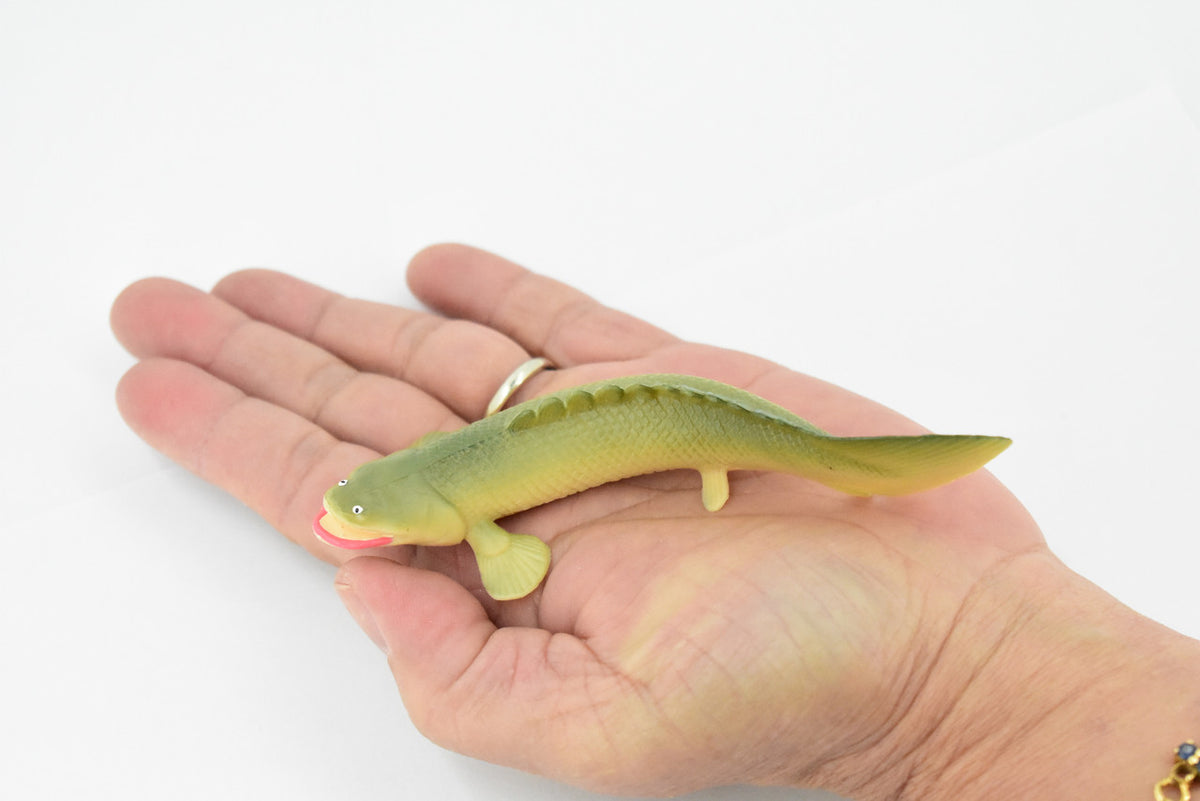 Polypterus, Nile Bichirs, Ropefish, Museum Quality, Rubber Fish, Hand Painted, Realistic Toy Figure, Diorama Model, Kids, Educational,  4 1/2 Inches. 