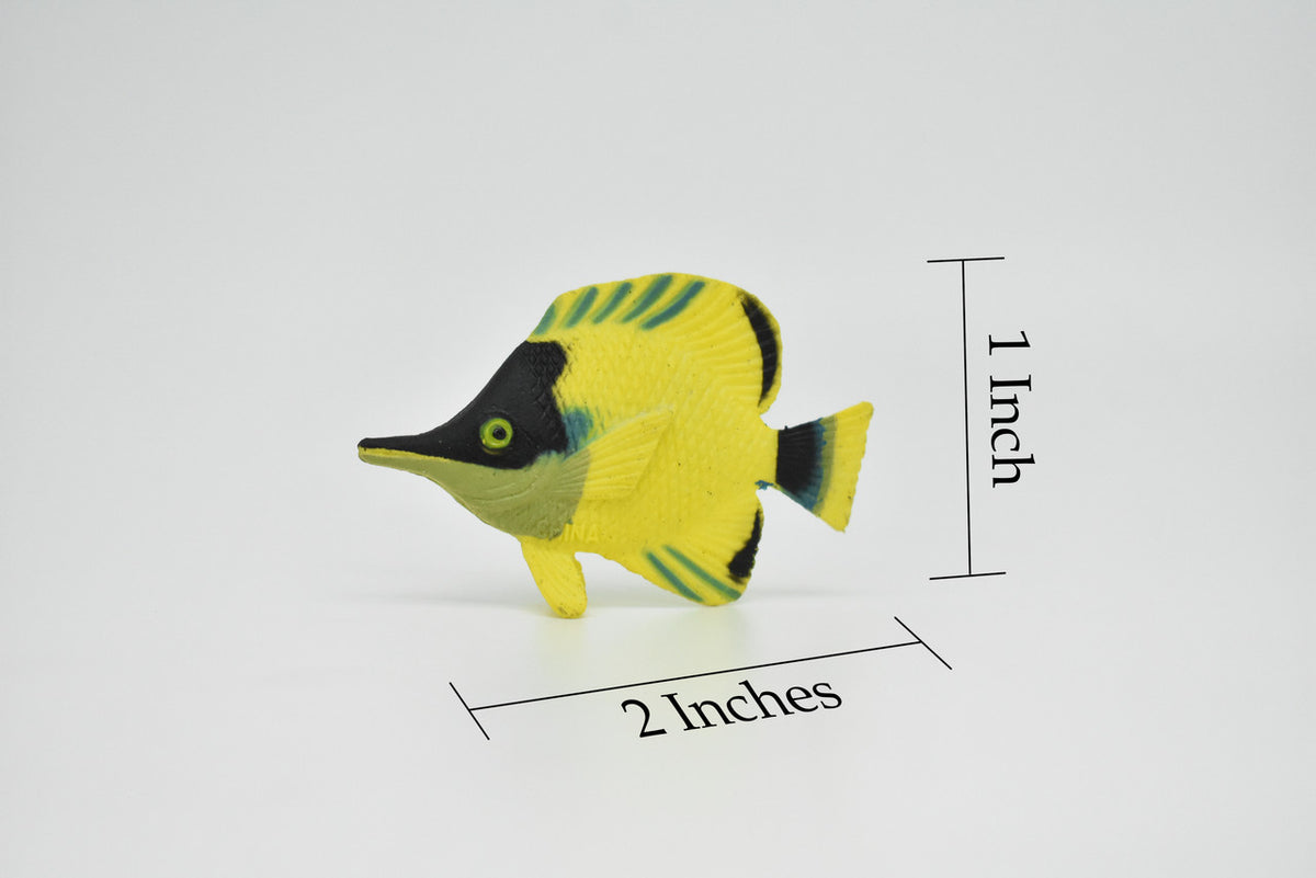 Butterflyfish, Tropical Fish, Chaetodontidae, Hand Painted, Realistic, Plastic Fish Design, Saltwater, Educational, Lifelike, Diorama Model, Toy,  2 Inches.