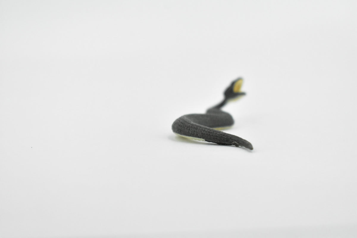 Black Water Moccasin, Snake, Rubber Reptile, Educational, Realistic Hand Painted, Figure, Lifelike Model, Figurine, Replica, Gift,      2 1/2 Inches    F7044 B165