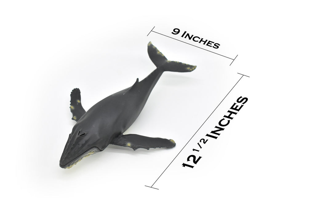 Humpback Whale,  Museum Quality Plastic Replica   12 1/2"   M031-B635