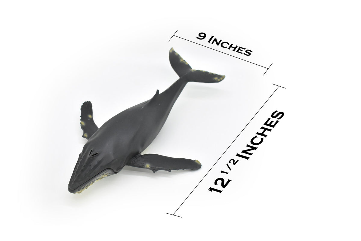 Humpback Whale,  Museum Quality Plastic Replica   12 1/2"   M031-B635