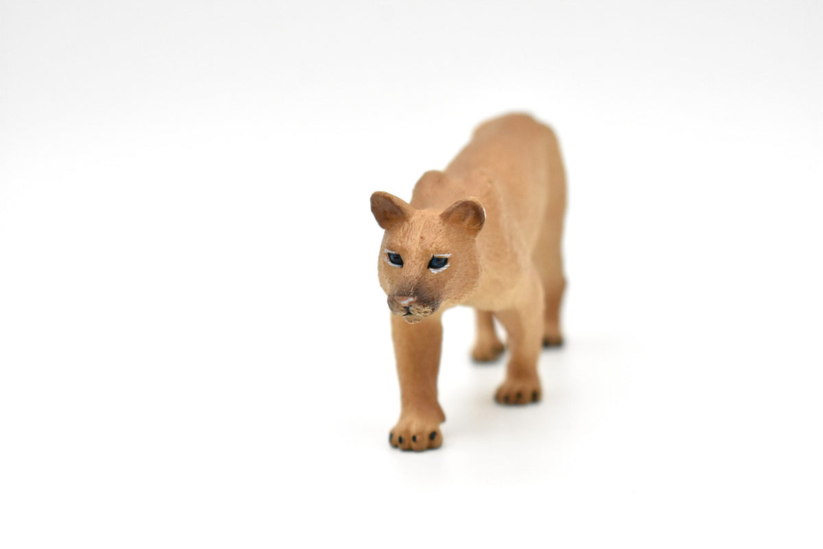 Puma, Cougar, Mountain Lion, Museum Quality Plastic Replica  5"   M127-B648