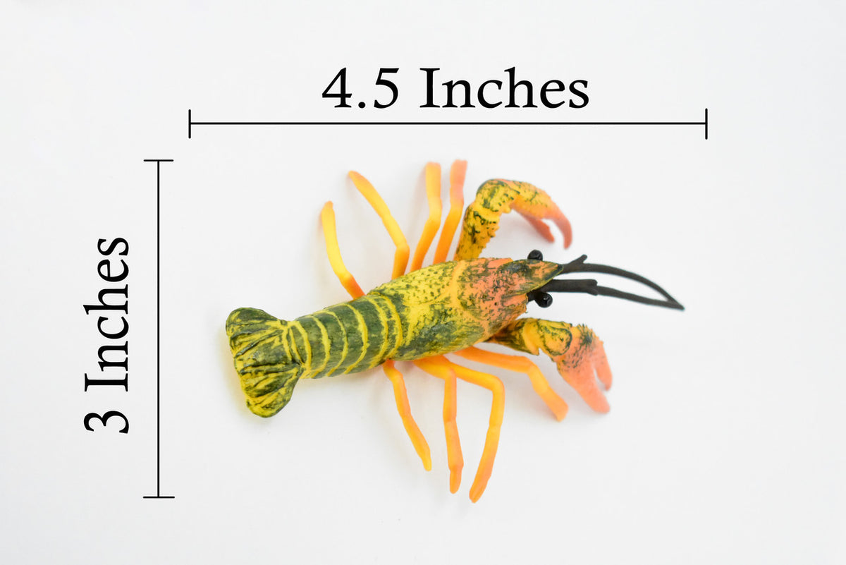 Crawfish, Crayfish, Museum Quality, Hand Painted, Rubber Crustaceans, Educational, Realistic, Lifelike, Educational, Gift,       4 1/2"      CH303 BB129