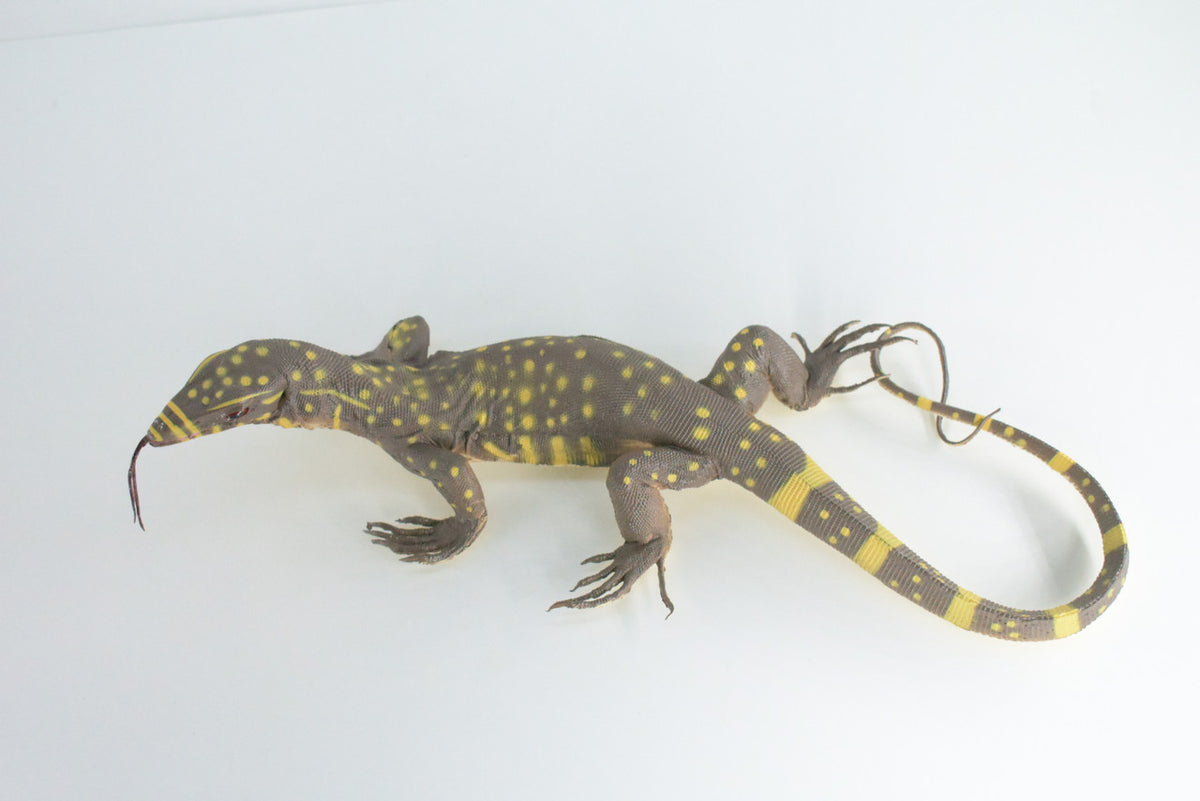 Monitor Lizard, Hand Painted, High Quality, Hard Rubber Lizard, Realistic Reptile, Toy Figure, Diorama Model, Replica, Kids, Educational, Gift,    13 Inches.   IM20 B656