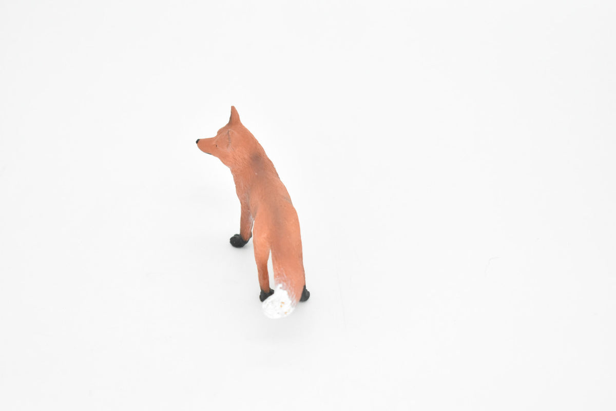 Red Fox, Museum Quality, Hand Painted, Rubber Animal, Realistic Toy Figure, Diorama Model, Kids, Educational, 3 Inches. 