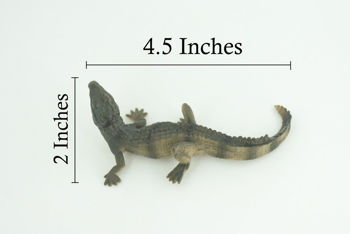 Alligator Baby, Crocodile, Museum Quality, Educational, Hand Painted, Rubber Reptile, Realistic, Diorama, Very Nice Design, Toys, Kids, Gift, 4 1/2 Inches. CH952 BB209 