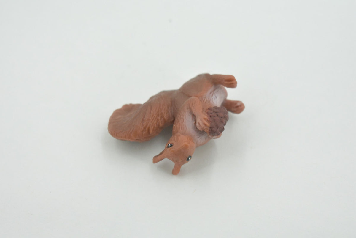 Squirrel, with Pine Cone, American Red, Museum Quality, Hand Painted, Rubber Rodent, Realistic Toy Figure, Model, Kids, Educational, Gift,     3"     CH615 BB167