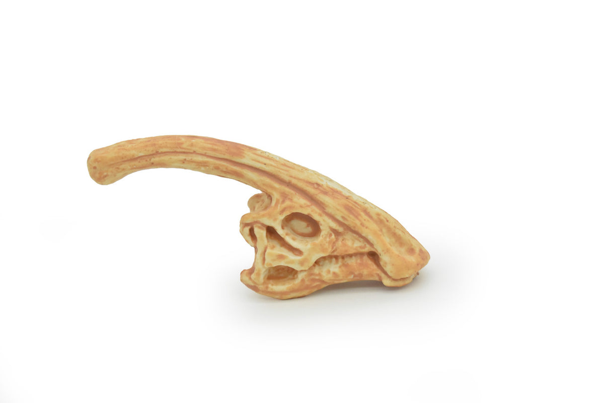 Parasaurolophus, Crested Lizard, Skull Fossil, Very Realistic, Hard Rubber, Educational, Figure, Diorama Model, Prehistoric, Bones, Toy,  2.5 Inches 