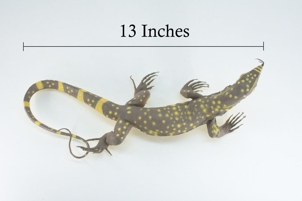 Monitor Lizard, Hand Painted, High Quality, Hard Rubber Lizard, Realistic Reptile, Toy Figure, Model, Replica, Kids, Educational,  13 Inches.