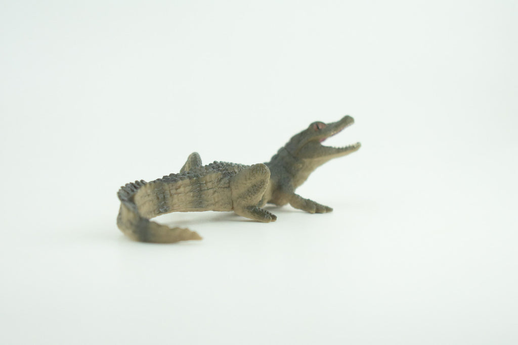 Alligator Baby, Crocodile, Museum Quality, Educational, Hand Painted, Rubber Reptile, Realistic, Diorama, Very Nice Design, Toys, Kids, Gift,   4 1/2 Inches.  CH952 BB209