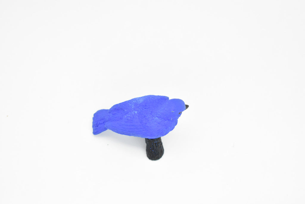 Indigo Bunting, Rubber Bird, Educational, Realistic, Hand Painted, Figure, Lifelike Model, Figurine, Replica, Gift,     2"    F3393 B27