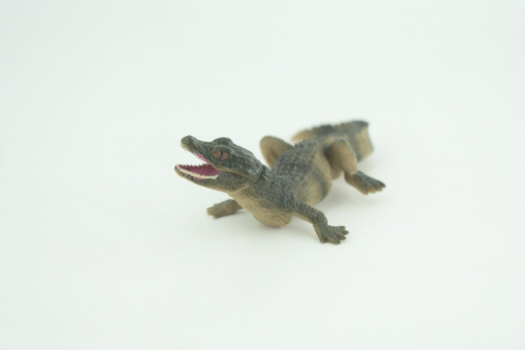 Alligator Baby, Crocodile, Museum Quality, Educational, Hand Painted, Rubber Reptile, Realistic, Diorama, Very Nice Design, Toys, Kids, Gift,   4 1/2 Inches.  CH952 BB209