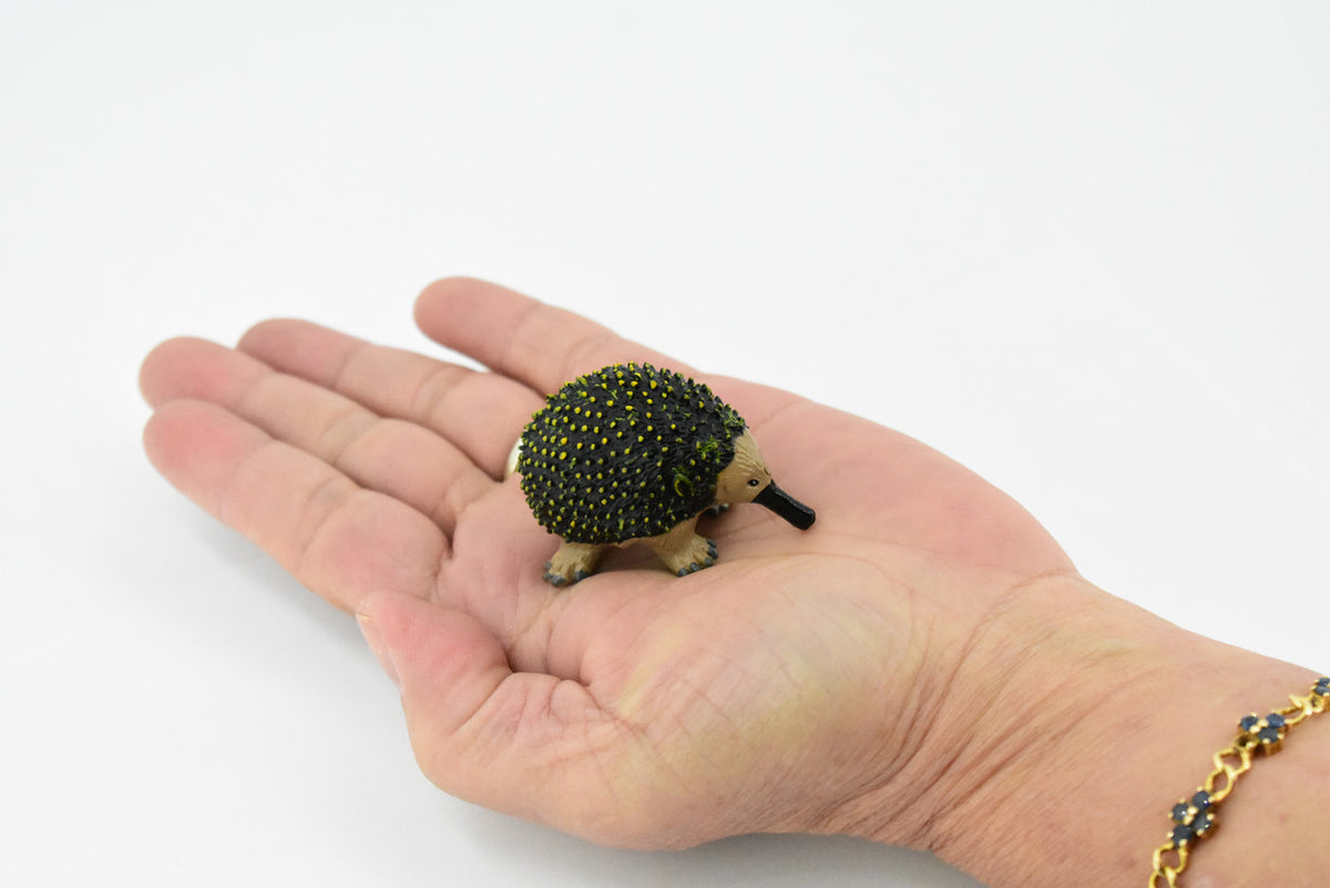 Spiny Anteater, Echidnas, Very Nice Design, Hand Painted, Educational, Rubber Animal, Realistic Toy Figure, Diorama Model, Kids,  2 Inches.  