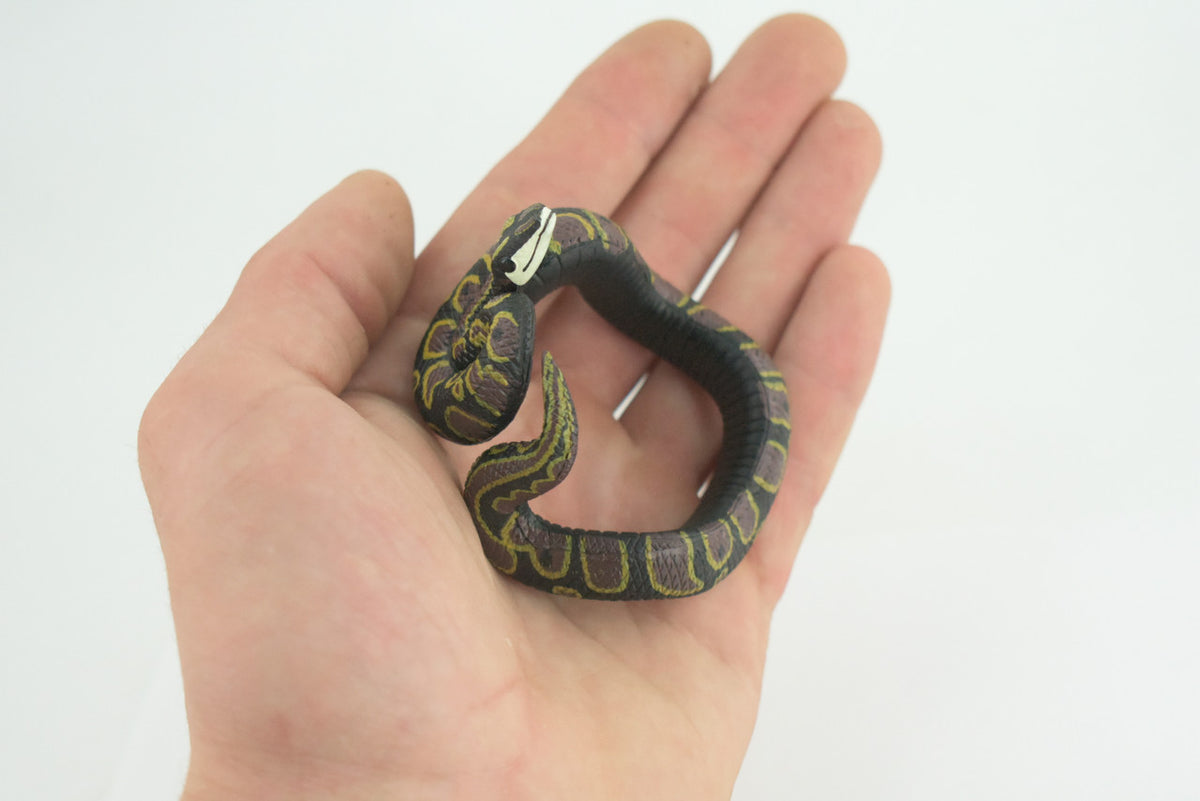 Python Snake Bracelet, Snake Wrist Band, Plastic Reptile, Educational, Realistic, Beautiful Design, Figure, Lifelike, Replica, Gift, 3" RI72 B663 
