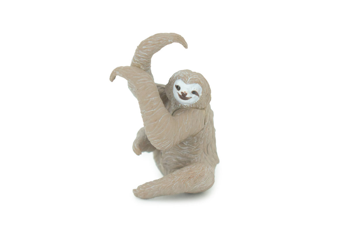 Three Toed Sloth Toy Model