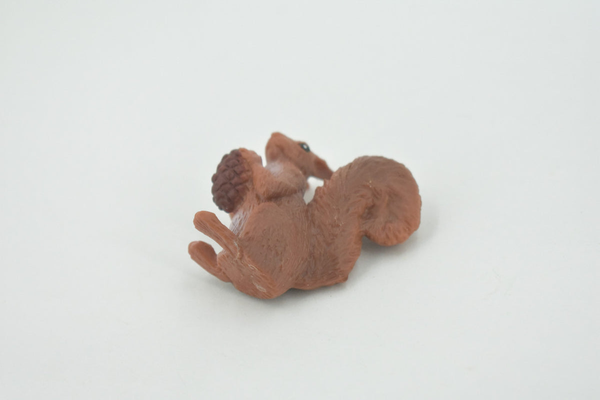Squirrel, with Pine Cone, American Red, Museum Quality, Hand Painted, Rubber Rodent, Realistic Toy Figure, Model, Kids, Educational, Gift,     3"     CH615 BB167