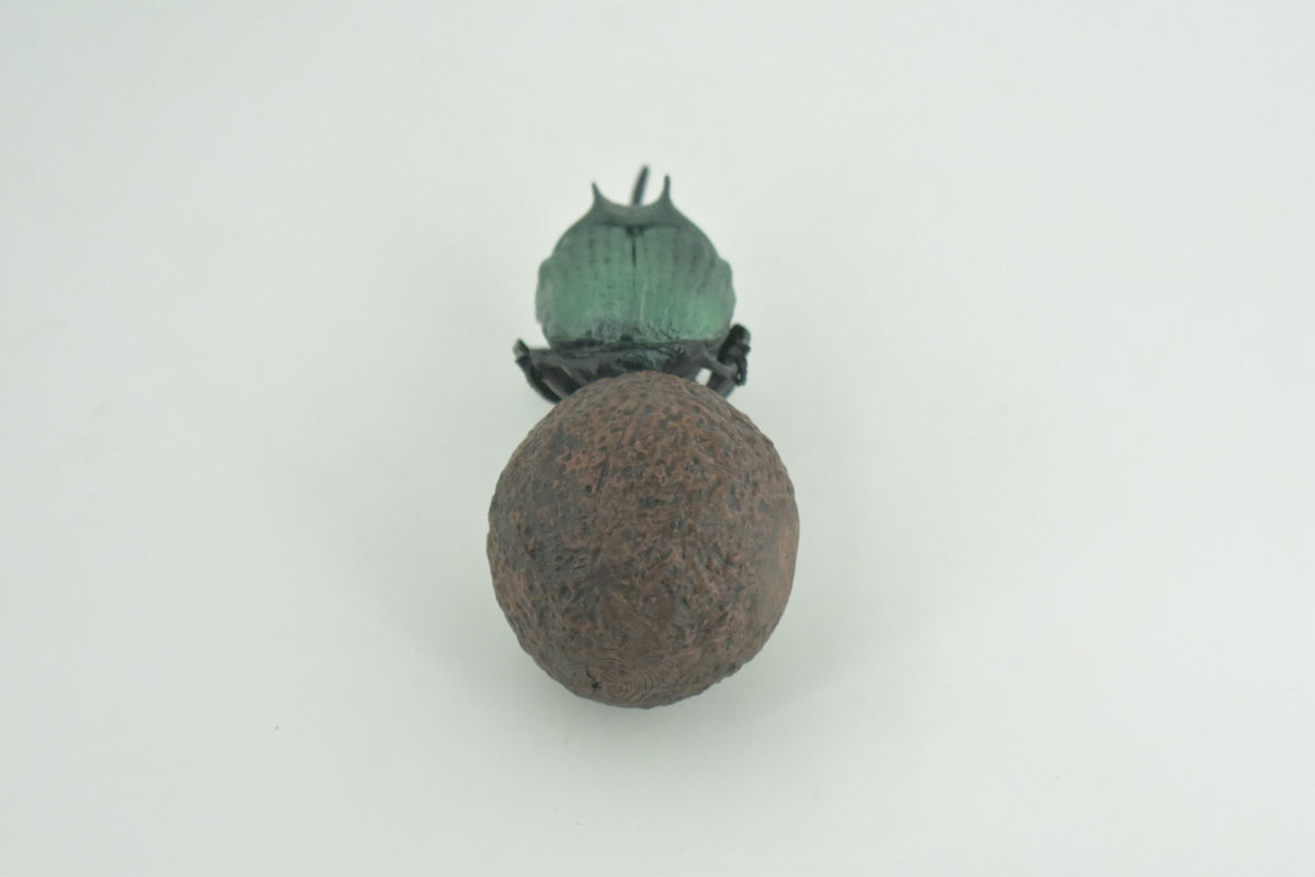 Dung Beetle, Poop, Scarabaeoidea, 2 pieces, Museum Quality, Hand Painted, Hard Rubber, Realistic, Diorama Model, Toy, Kids, Educational, Gift,   5 Inches Long.   CH1023 BB216