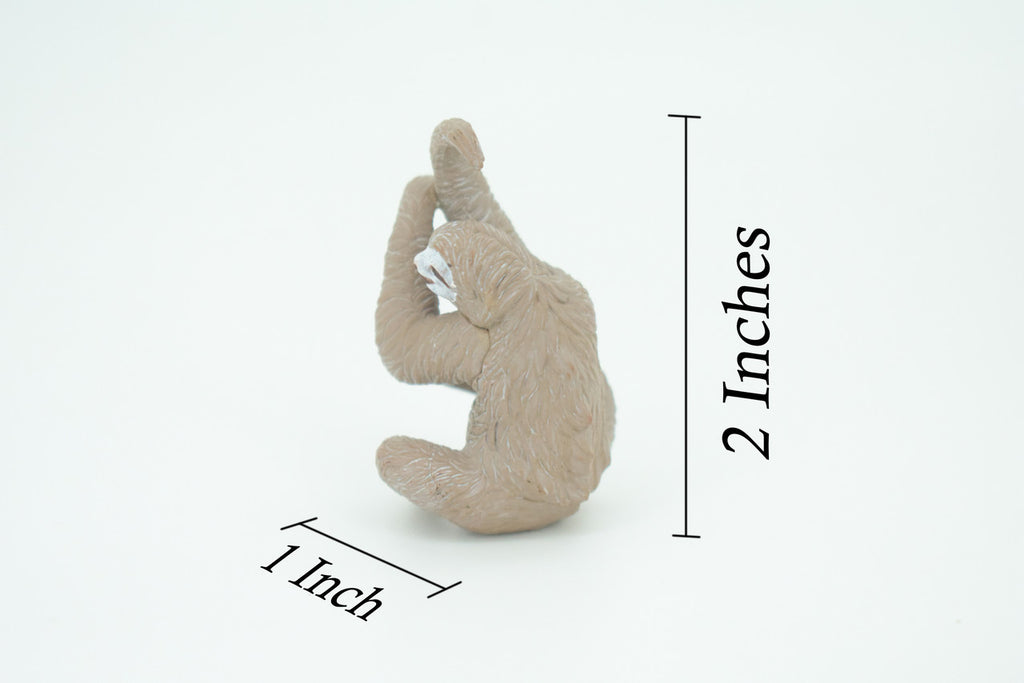 Sloth, 3 Toed Sloth, Bradypus tridactylus, Hand Painted, Educational, Rubber Animal, Realistic Figure, Lifelike, Gift,    2"    SF35 B44