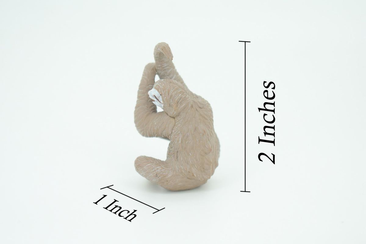 Sloth, 3 Toed Sloth, Bradypus tridactylus, Hand Painted, Educational, Rubber Animal, Realistic Figure, Lifelike, Gift,    2"    SF35 B44