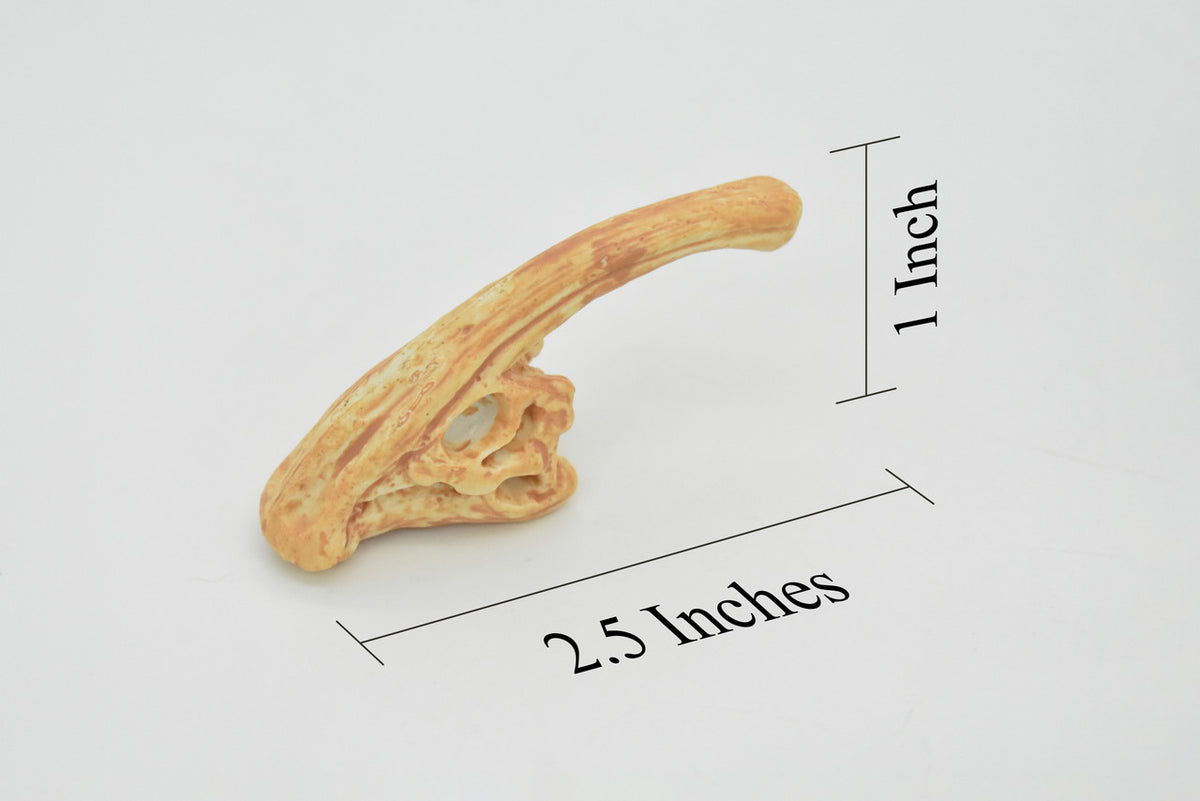 Parasaurolophus, Crested Lizard, Skull Fossil, Very Realistic, Hard Rubber, Educational, Figure, Diorama Model, Prehistoric, Bones, Toy,  2.5 Inches 