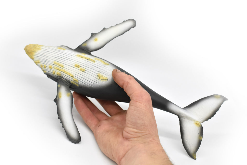 Humpback Whale,  Museum Quality Plastic Replica   12 1/2"   M031-B635