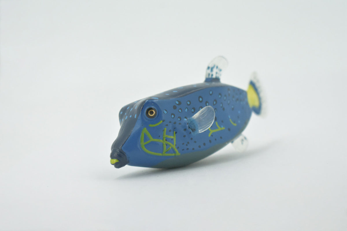 Fish, Box Puffer, Pufferfish, Museum Quality, Hand Painted, Rubber estuarine fish, Realistic, Figure, Model, Replica, Toy, Kids, Educational, Gift,     4"     CH516  BB157