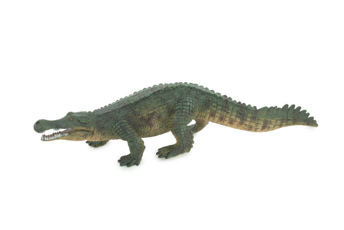 Freshwater Crocodile, Movable Jaws, Museum Quality, Educational, Hand Painted, Rubber Reptile, Realistic, Diorama, Toy, Kids, Gift, 10 Inches. CH778 BB182