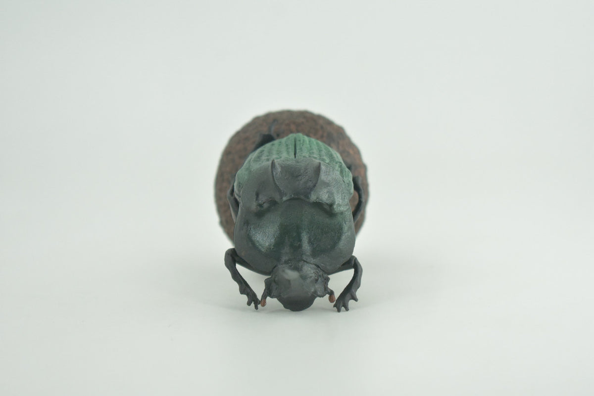 Dung Beetle, Poop, Scarabaeoidea, 2 pieces, Museum Quality, Hand Painted, Hard Rubber, Realistic, Diorama Model, Toy, Kids, Educational, Gift,   5 Inches Long.   CH1023 BB216