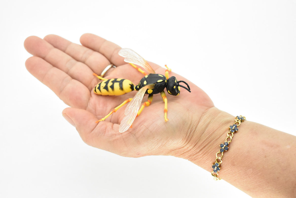 Hornet, Killer, Wasp, Insect, Museum Quality, Rubber Insect, Hand Painted, Realistic Toy Figure, Diorama Model, Kids, Educational, 3 1/2 Inches.