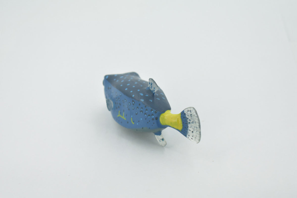 Fish, Box Puffer, Pufferfish, Museum Quality, Hand Painted, Rubber estuarine fish, Realistic, Figure, Model, Replica, Toy, Kids, Educational, Gift,     4"     CH516  BB157