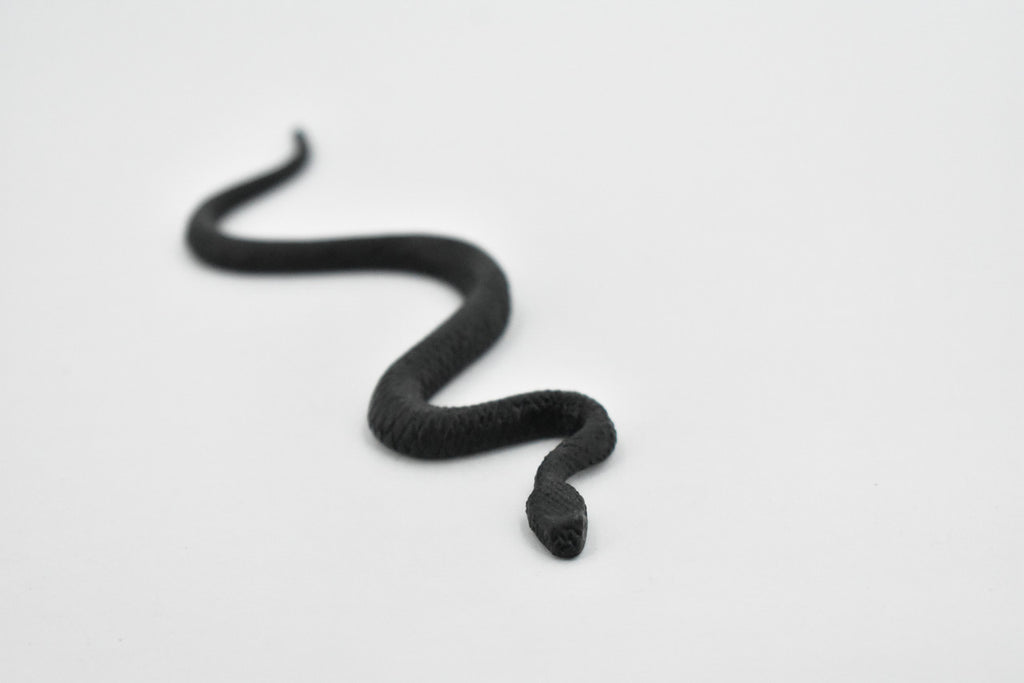 North American Racer, Snake, Rubber Reptile, Educational, Realistic Hand Painted, Figure, Lifelike Model, Figurine, Replica, Gift,    4 1/2 Inches.     F3050 B364