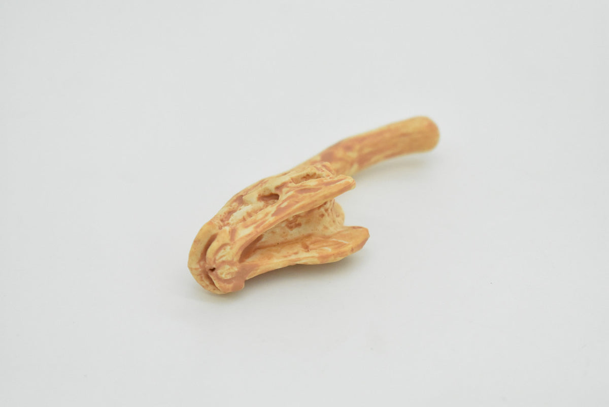 Parasaurolophus, Crested Lizard, Skull Fossil, Very Realistic, Hard Rubber, Educational, Figure, Diorama Model, Prehistoric, Bones, Toy, Gift,      2.5 Inches     CH125 B231