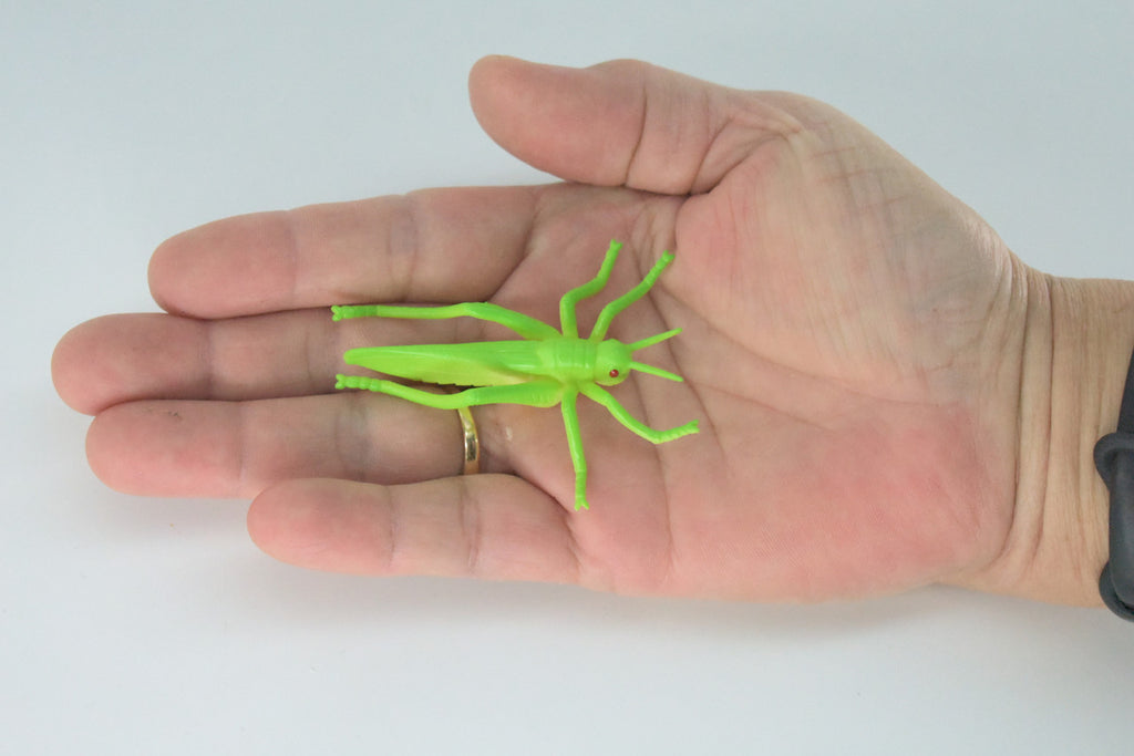 Grasshopper, Very Nice Rubber Insect, Educational, Realistic Hand Painted, Figure, Lifelike Model, Figurine, Replica, Gift,     2 1/2"   US23 B44