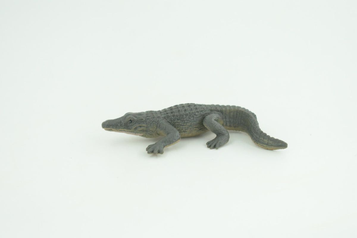 Alligator, American, Rubber Reptile, Educational, Realistic, Hand Painted, Crocodile, Figure, Lifelike Model, Diorama Figure, Replica,Toys, Kids, Gift,     3 Inches.     SF87 B33