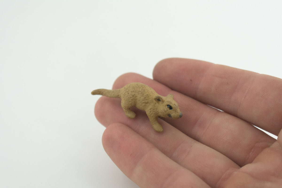 Mouse, Hand Painted, High Quality Rubber Rodent, Realistic House Mouse, (Mus musculus), Diorama Design, Educational, Toys, Kids, Gift, 1 3/4 Inches. CH1032 BB218