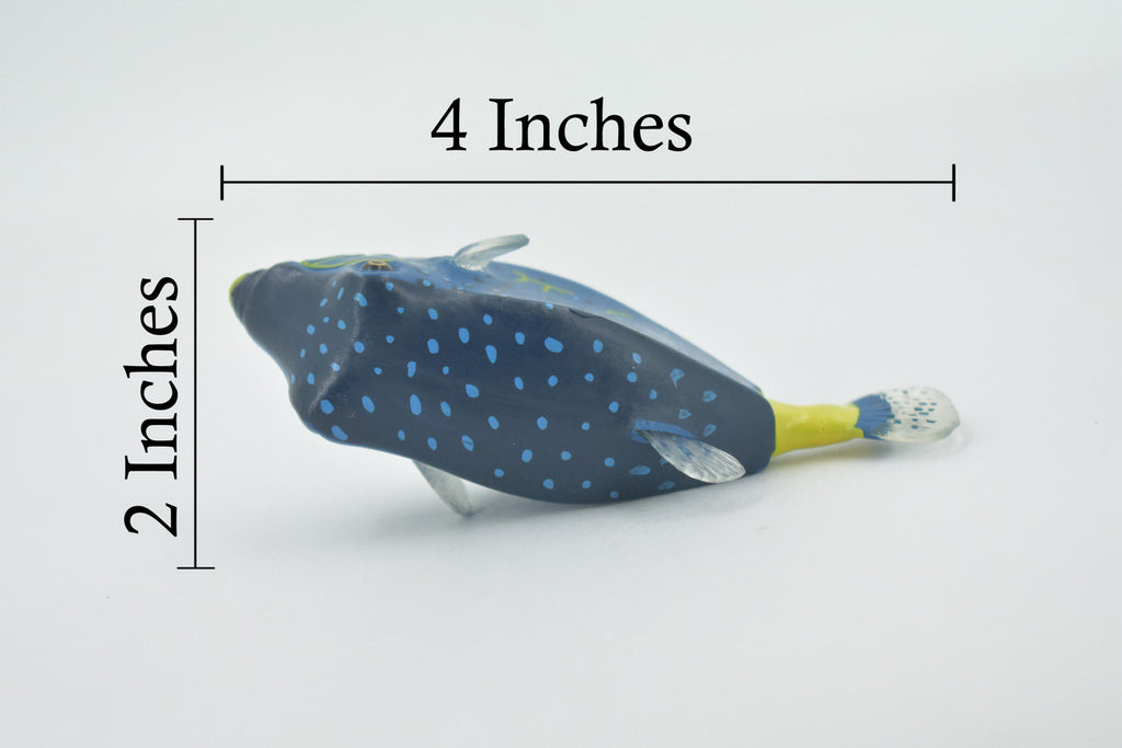 Fish, Box Puffer, Pufferfish, Museum Quality, Hand Painted, Rubber estuarine fish, Realistic, Figure, Model, Replica, Toy, Kids, Educational, Gift,     4"     CH516  BB157