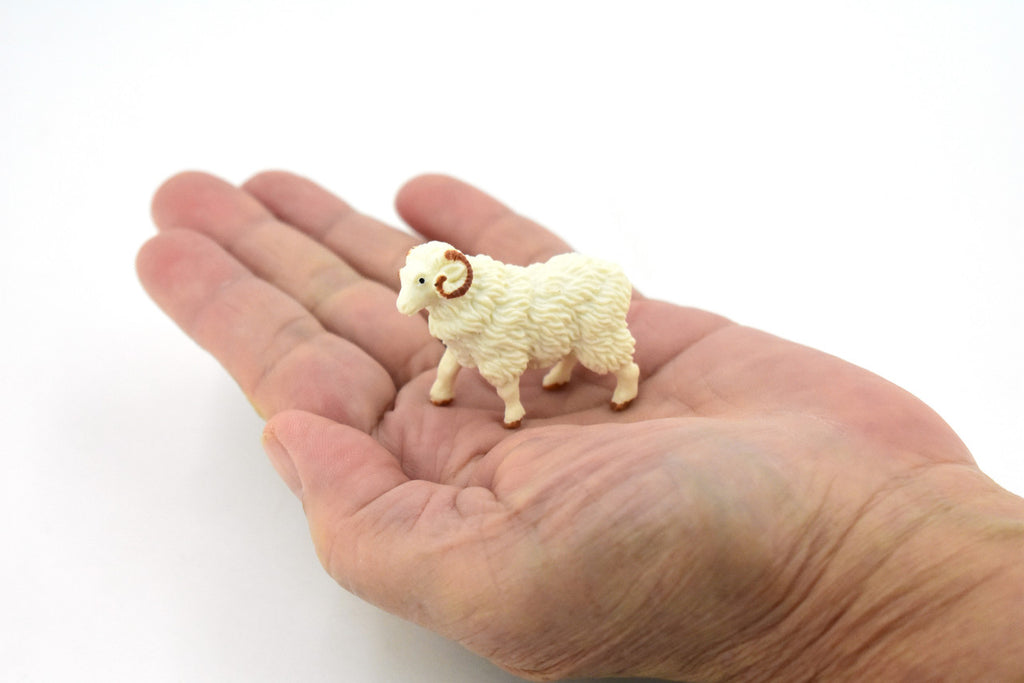 Sheep, Ram Domestic, White, Plastic Animal, Educational, Toy, Kids, Realistic Figure, Model, Figurine, Replica, Gift,  1.75"  F4152 B140