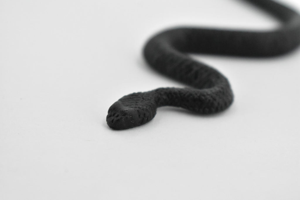 North American Racer, Snake, Rubber Reptile, Educational, Realistic Hand Painted, Figure, Lifelike Model, Figurine, Replica, Gift,    4 1/2 Inches.     F3050 B364