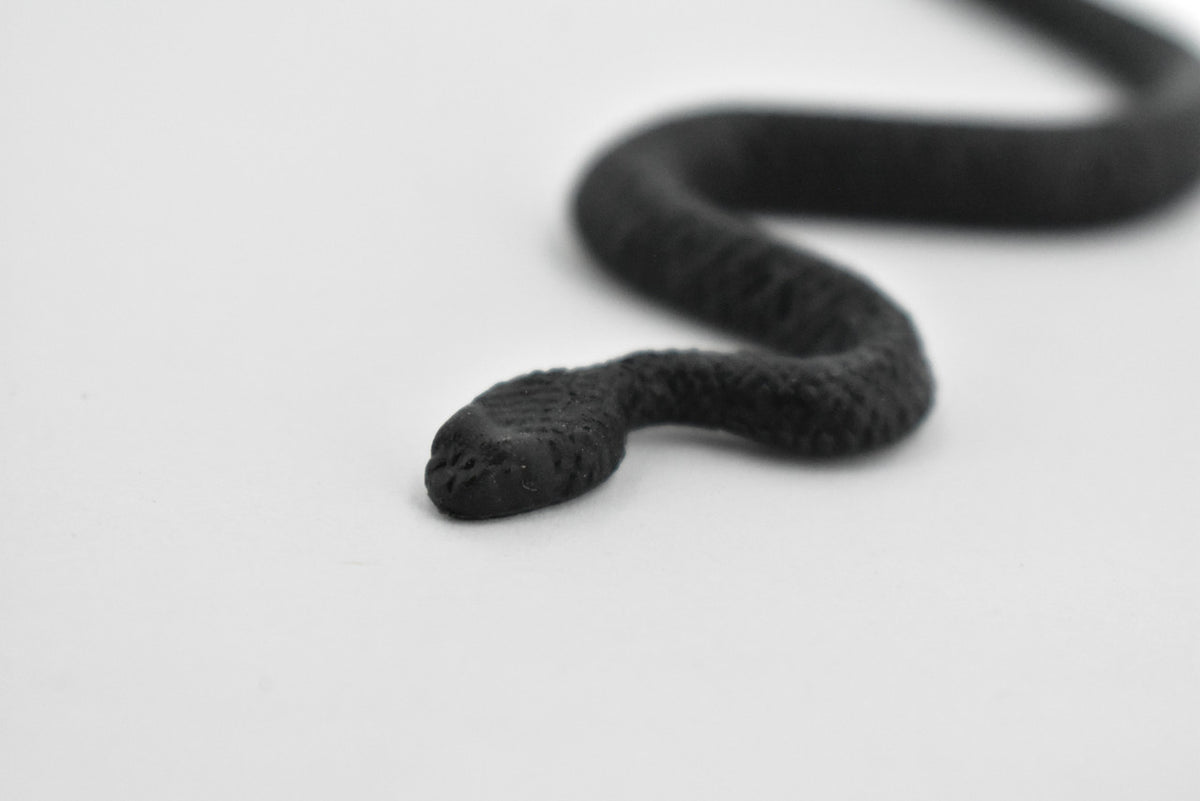 North American Racer, Snake, Rubber Reptile, Educational, Realistic Hand Painted, Figure, Lifelike Model, Figurine, Replica, Gift,    4 1/2 Inches.     F3050 B364