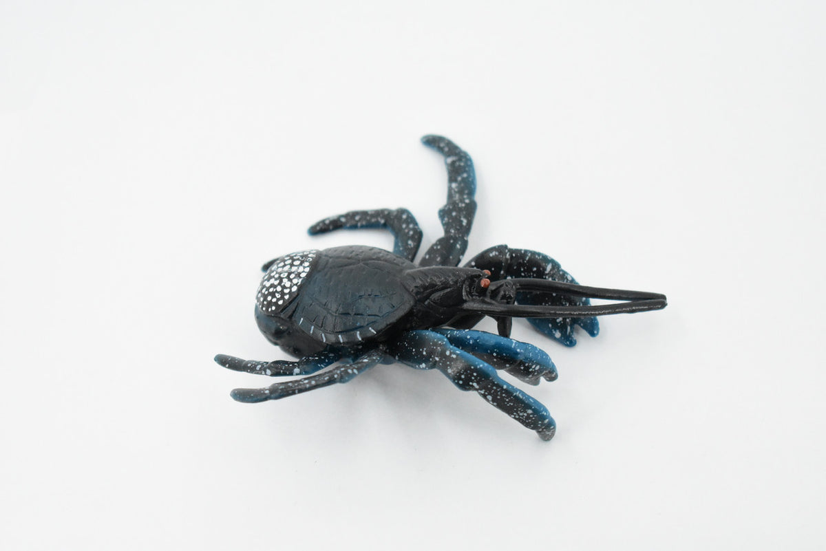 Crab, Coconut Crab, Blue, Museum Quality, Hand Painted, Rubber Crustaceans, Realistic Toy Figure, Model, Replica, Kids, Educational, Gift,       4"     CH304 BB129