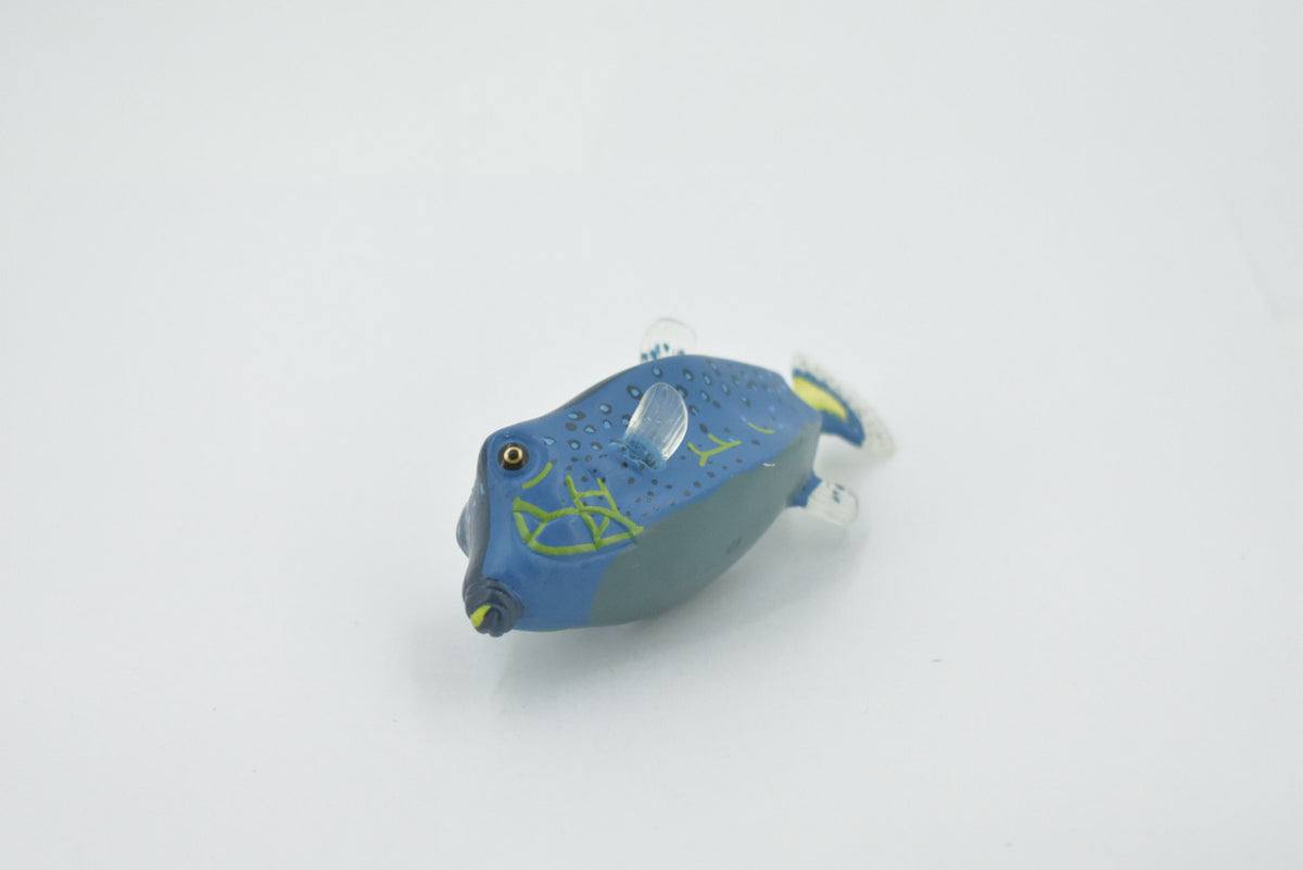 Fish, Box Puffer, Pufferfish, Museum Quality, Hand Painted, Rubber estuarine fish, Realistic, Figure, Model, Replica, Toy, Kids, Educational, Gift,     4"     CH516  BB157