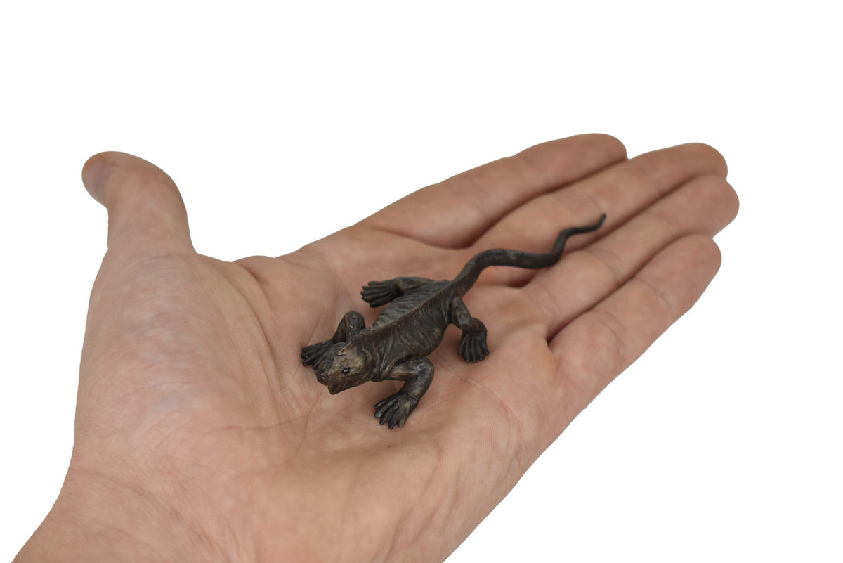 Marine Iguana, Galapagos Islands, Educational, Hand Painted, Realistic Plastic Reptile Figure, Lifelike, Diorama, Toy, Kids, Gift,   4 Inches. 