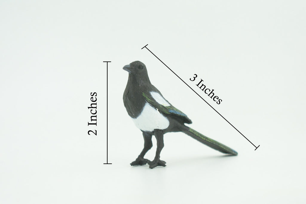 Magpie, Museum Quality, Educational, Hand Painted, Rubber Bird, Realistic, Toys, Kids, Gift, 3 Inches. CH739 BB184