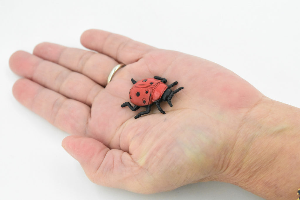 Ladybug, Rubber Insect, Toy, Realistic Figure, Model, Replica, Kids Educational Gift,     1 1/2 "      F1659 B74