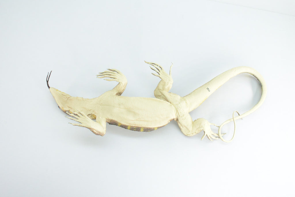 Monitor Lizard, Hand Painted, High Quality, Hard Rubber Lizard, Realistic Reptile, Toy Figure, Diorama Model, Replica, Kids, Educational, Gift,    13 Inches.   IM20 B656